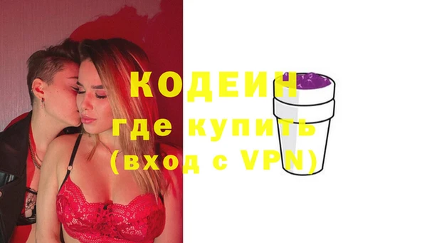 молекула духа Арсеньев