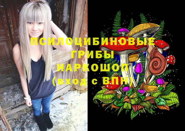 молекула духа Арсеньев