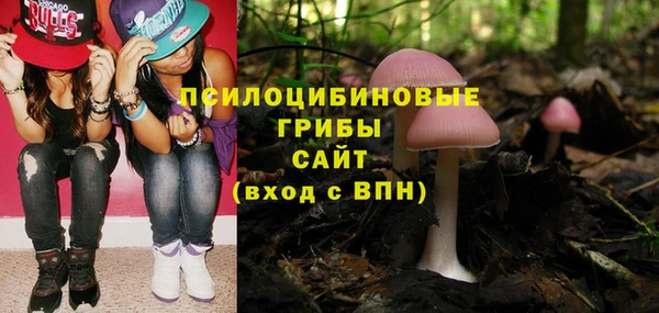 молекула духа Арсеньев