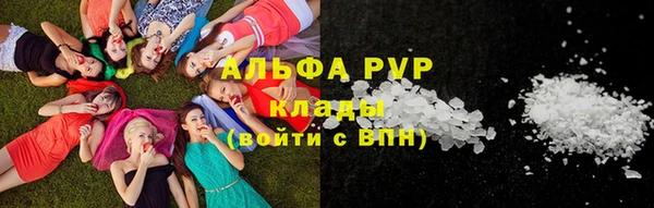 молекула духа Арсеньев